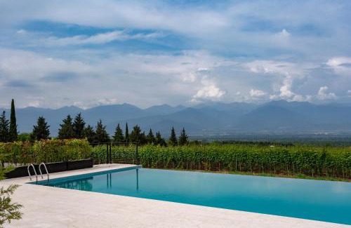 Zegaani Resort | Vazisubani Estate