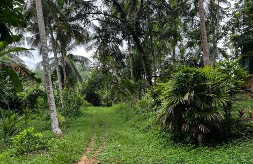 Kirantidiya House | Vegan Nature Resort
