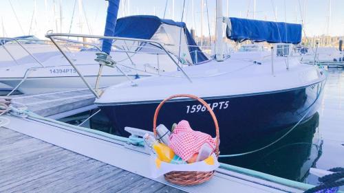 Porto Boat Rental | Veleiro D'Ouro