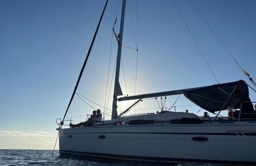 Poblats Maritims Boat Rental | Velero en puerto de valencia