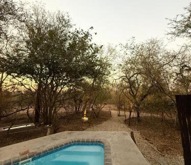 Marloth Park House | Veni Vidi Amavi Luxury Safari Treehouse