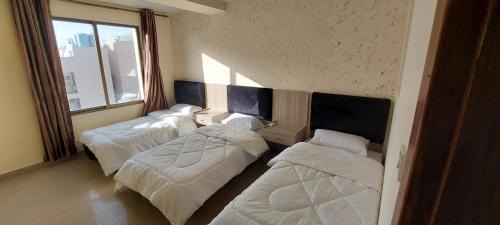 Aqaba Apartment | Venice