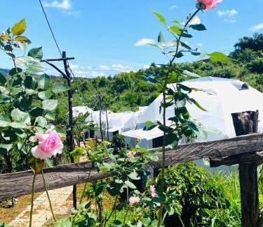 Kon Plong House | Ventosa HomeFarm - Venuestay