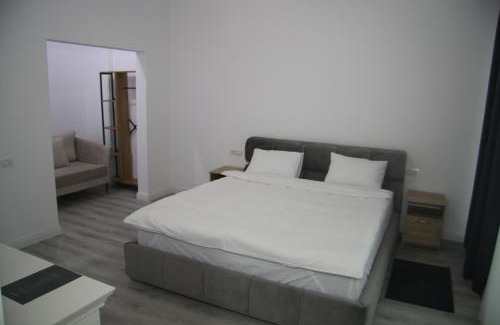 Stefanestii de Jos Hotel | Verse