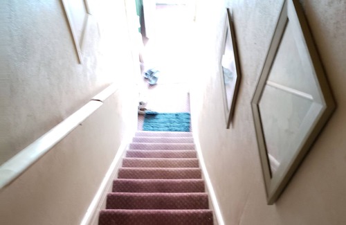 Mount Clemens House | Very cozy 1 room dwelling w/twin bed