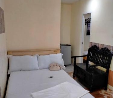 Laoag Apartment | VF Riton Apartelle anex