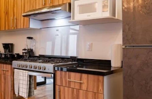 Xochimilco Apartment | VH | Loft Condesa | 1BR + Wifi and Rooftop | 290