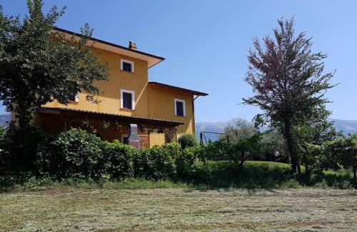Alvito House | Viale dei Ciliegi