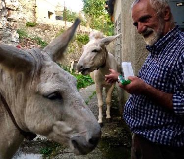 Comano Bed & Breakfast | Viandanti, Artisti e Sognatori