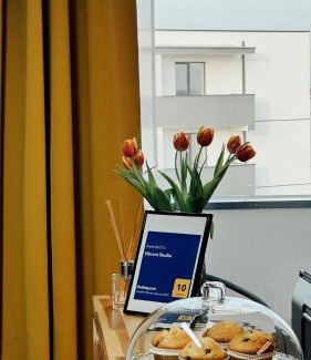 Timisoara Apartment | Vibrant Studio