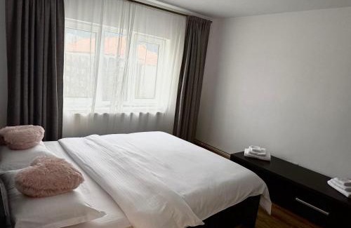 Ocna Mures Apartment | Victory Apartament