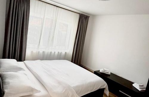 Ocna Mures Apartment | Victory Apartament