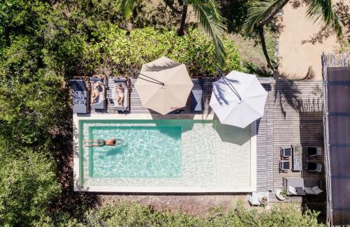 Zona Hotelera Cabin | Vida Silvestre