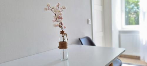 Himmelpfortgrund Apartment | Vienna ROYAL Apartment - Opera