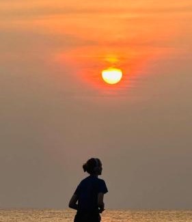 Arambol Hotel | Viik wellness inn -3 Star Resort in Arambol Beach