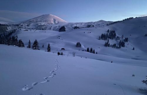 Montenegro House | Vikendica KOLIBA NISAVIC