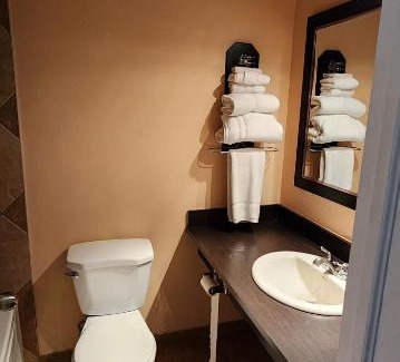Gimli Hotel | VIKING INN