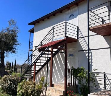 Qazim Pali Apartment | Vila Ari