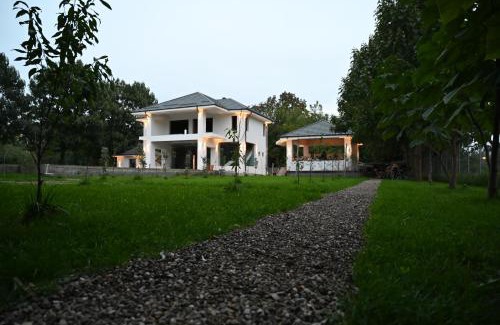 Movilita Villa | Vila cu piscina "Casa Movilita El DoD"