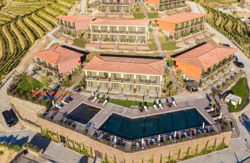 Armamar House | Vila Gale Douro Vineyards