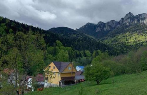 Bicaz House | Vila Gloria