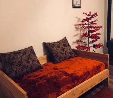 Moscopole House | Vila Janko 1