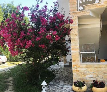 Sutomore House | Vila Jovana