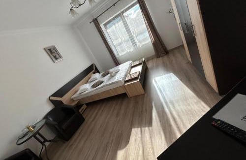 Sebes House | Vila Lion