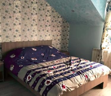 Petrila House | Vila Maria