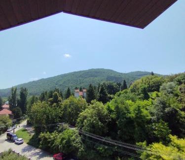 Niska Banja Bed & Breakfast | VILA MARKO