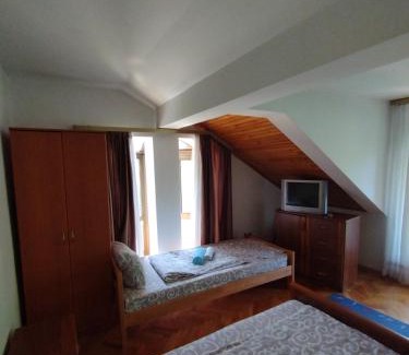 Niska Banja Bed & Breakfast | VILA MARKO