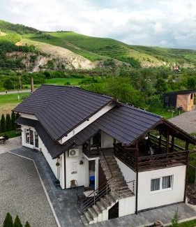 Sasciori House | Vila Miorita
