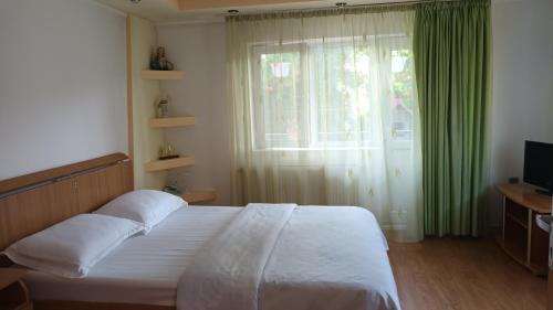 Oestii Paminteni House | Vila Nadia