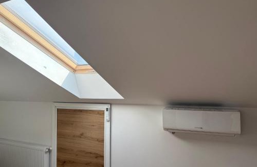 Braila Villa | Vila parc 1