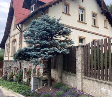 Nejdek Apartment | Vila Polacek
