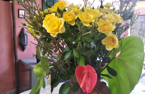Costa Bela House | Vila Santa Rosa Guest House