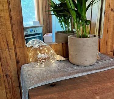 Gratiskes Apartment | Vila Strėva