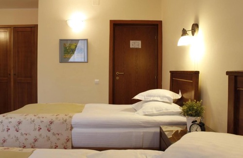 Otopeni Hotel | Vila Toparceanu