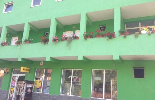 Baile Olanesti House | Vila Veritas