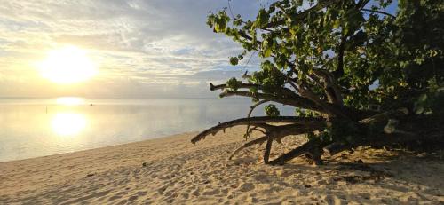 Hauru Villa | Villa Anahere