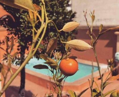 Calvi Villa | Villa ANTONIA