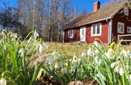 Tingsryd Municipality Villa | Villa Apple Garden