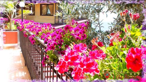 Mazzaro Bed & Breakfast | Villa Arianna B&B