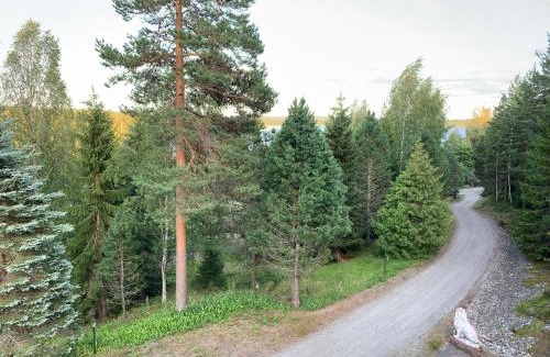 Vaajakoski Villa | Villa Ateljeerinne
