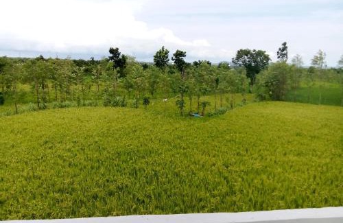 Praya House | Villa Atenea