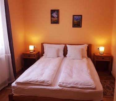 Baile Tusnad House | Villa Atriolum