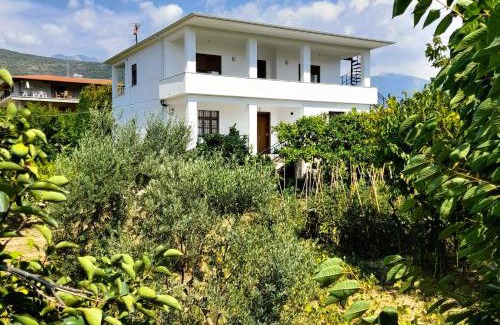Berat Apartment | Villa Besart