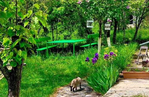 Kvemo Kartli Hostel | Villa Bubi