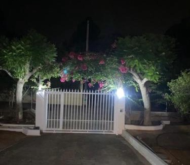 Alzira Villa | Villa Célia Alzira