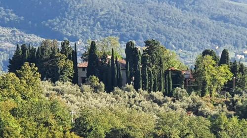 Montebonello Villa | Villa Ca' di Monte